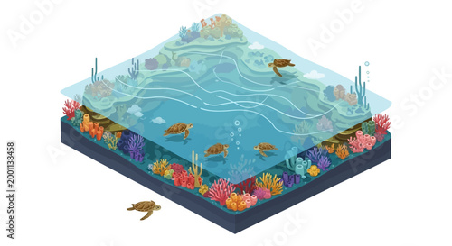 Isometric illustration showing sea turtles swimming in clear blue ocean waters above a vibrant coral reef, depicted with bright colors and a layered perspective against a clean, isolated