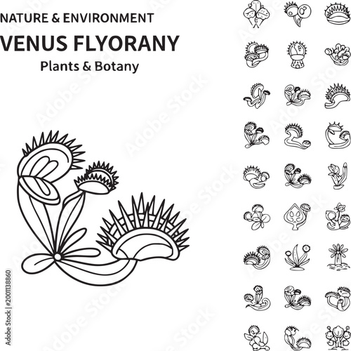 Venus flytrap botanical illustration with insect prey and nature icons set