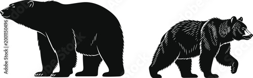 Detailed black and white flat vector illustration collection of bear silhouettes featuring a polar bear and a walking grizzly bear.