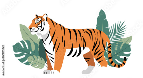 Majestic tiger walking among tropical green leaves on white background