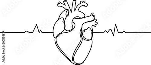 Continuous single line of human heart organ with electrocardiogram pulse rhythm line isolated on white background for medical health care concept