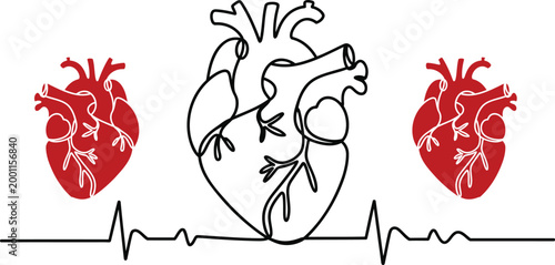 Continuous single line of human heart organ with red colored heart and electrocardiogram pulse rhythm line for cardiology and medical health