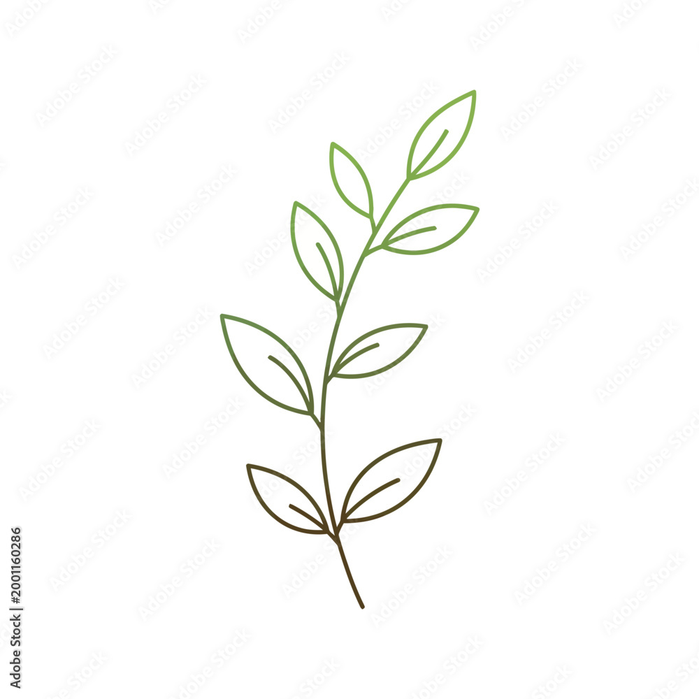 Obraz premium Delicate Green Leafy Branch Illustration.