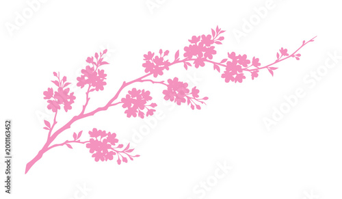 Pink cherry blossom branch vector silhouette, blooming sakura tree twig with flowers, elegant floral spring botanical illustration isolated on White Background