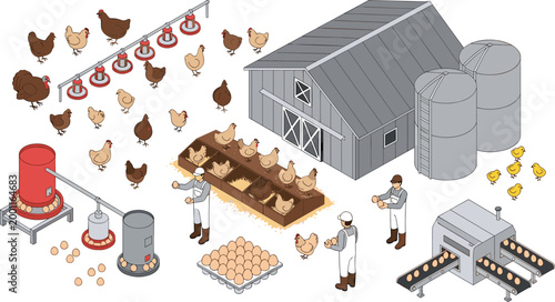 Poultry Farm Production Isometric Set with Chicken Coop, Egg Collection, Feeding System and Processing Equipment Vector Illustration