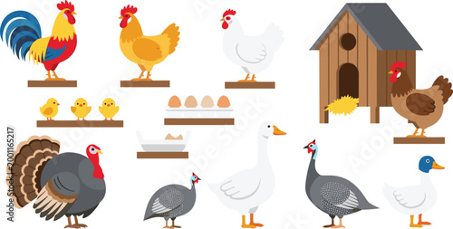 Farm Birds and Poultry Set in Flat Style, Collection of Chicken, Rooster, Turkey, Duck, Eggs, Chicks and Coop Vector Illustration for Agriculture Design
