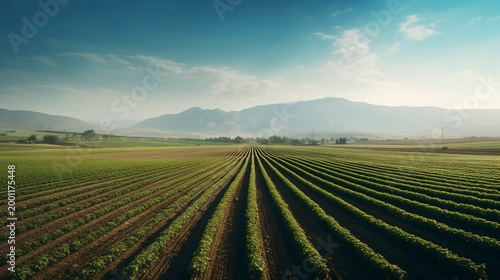 A photo of fields with rows of crops