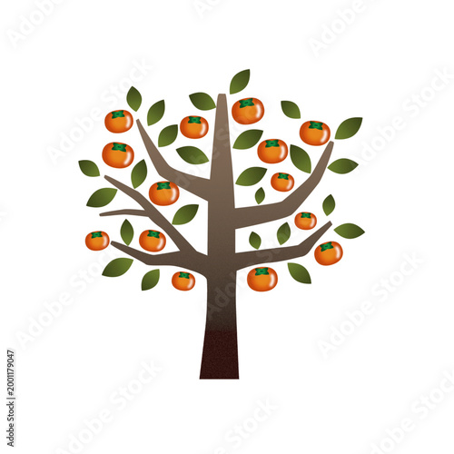 Persimmon tree with fruits, simple autumn illustration vector