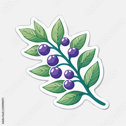 Illustration of a branch with purple berries and green leaves