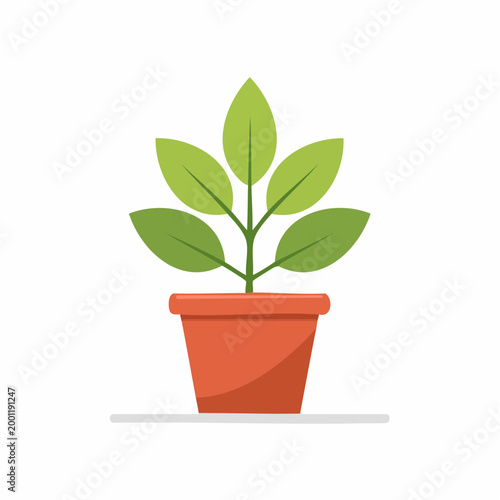 Potted Plant Illustration