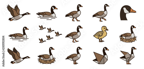 Comprehensive Canadian Goose Vector Icon Set Featuring Flying, Swimming, Nesting Birds, Cute Baby Goslings, and Geometric Origami Shapes