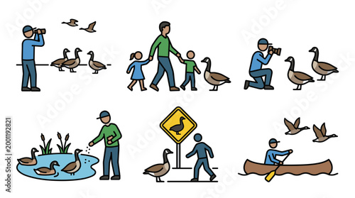 Colorful Flat Line Vector Set of People and Canadian Goose Interactions Featuring Birdwatching, Family Walks, Photography, and Canoeing in Nature Parks
