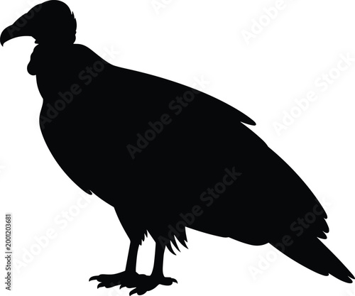Tableau sur toile Black silhouette of vulture bird standing side view isolated on white background