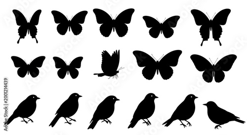 Black Butterfly and Bird Silhouette Icon Set