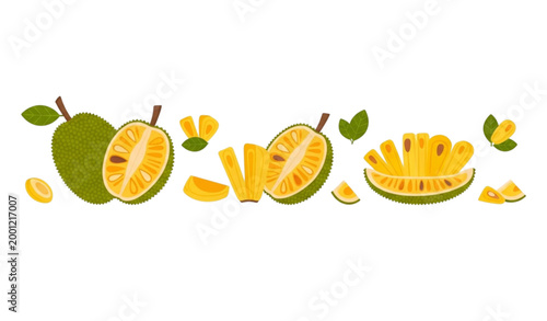 Colorful illustration of durian fruit in various stages of preparation