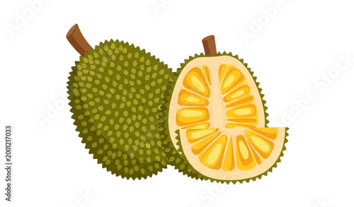 Durian fruit illustration whole and cut open showing interior