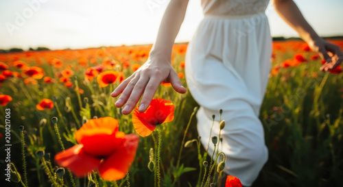 Beautiful young woman in white dress walking through a field of red poppies at sunset, touching a flower