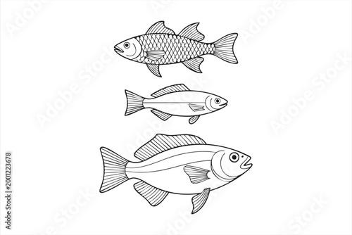 Marine Fish Outline Collection for Seafood Packaging Restaurant Menu Design