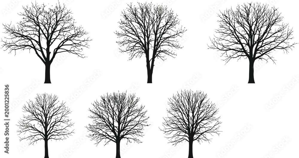 Obraz premium Six bare winter trees in minimalist row against white background, seasonal nature concept