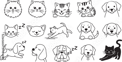 Cute cats and dogs doodle icon set hand drawn pet faces and poses vector illustration isolated on white background