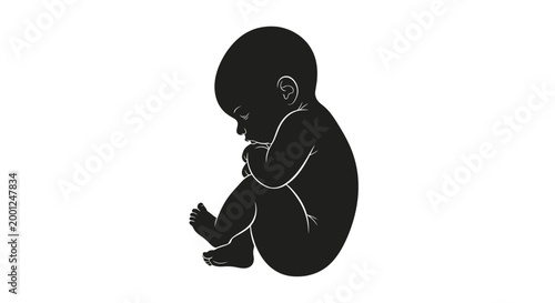 Silhouette of a newborn baby curled up in a fetal position, representing new beginnings and vulnerability