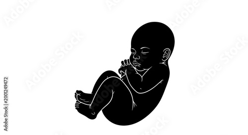 Stylized illustration of a human fetus in a peaceful fetal position, representing early stages of life and prenatal development, perfect for medical or educational themes