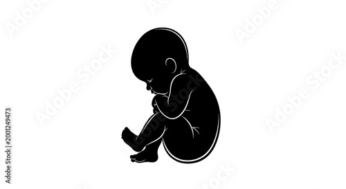 A black and white outline drawing of a fetus in the fetal position, symbolizing growth and development