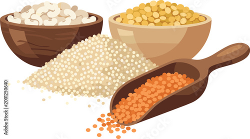 Grains and Legumes Vector Illustration with Rice, Lentils, Split Peas, Cashews and Wooden Scoop for Organic Food, Cooking and Agriculture Design