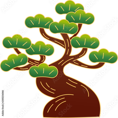 Japanese Pine Tree