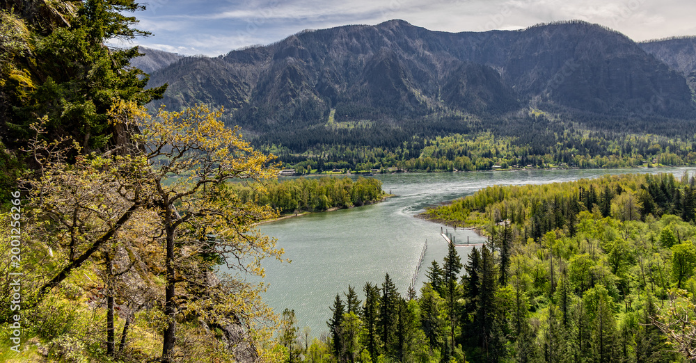 Fototapeta premium Columbia river gorge view from Beacon Rock State Park
