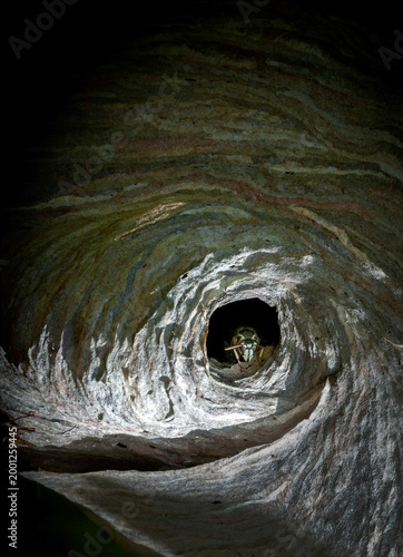 A detailed view of a wasp nest revealing complex tunnel structures. The shadows and light highlight the varying textures.
