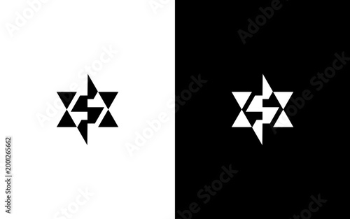 Bild auf Leinwand Letter S Star Logo with Negative Space Geometric Design