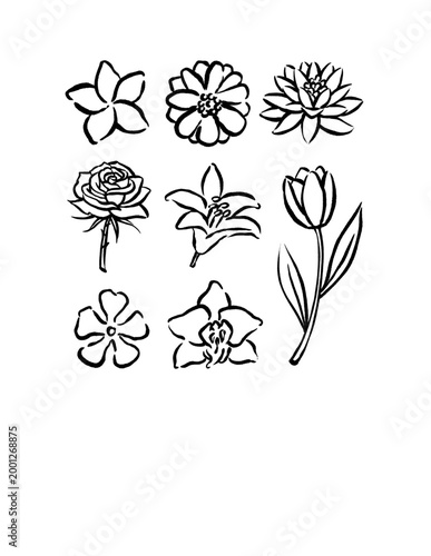 A beautiful collection of hand-drawn floral sketches featuring roses, tulips, lilies, and lotus