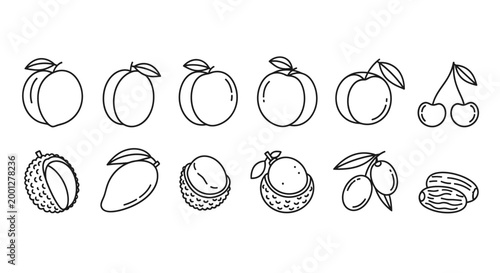 Outlined fruit collection peach cherry lychee mango olive date vector