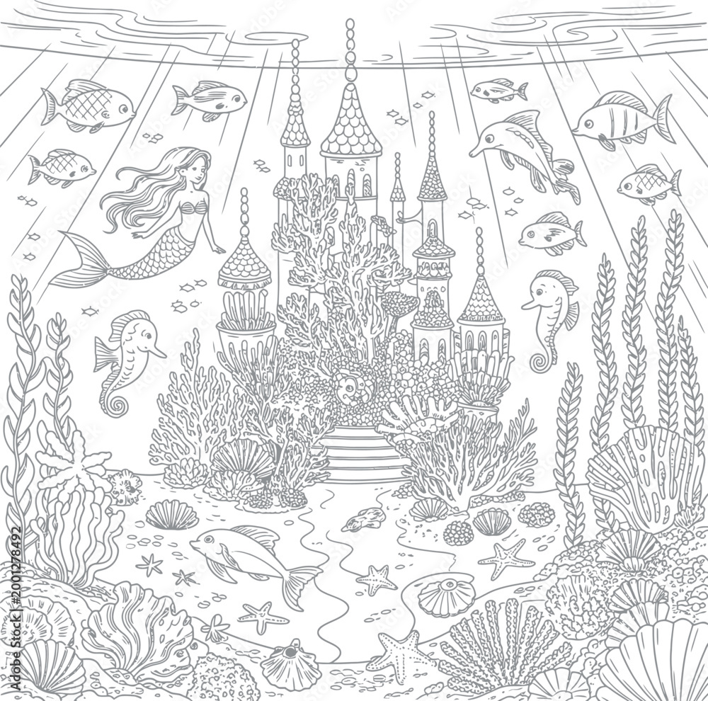 Fototapeta premium Adobe Illustrator Artwork