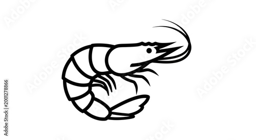 Simple Line Drawing of a Shrimp