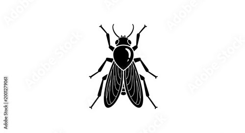 Black fly silhouette isolated on white background. Insect vector illustration.