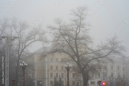 Red traffic light in foggy city street with classic architecture and copy space