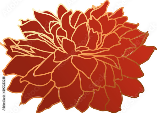 Dark red peony flower drawing