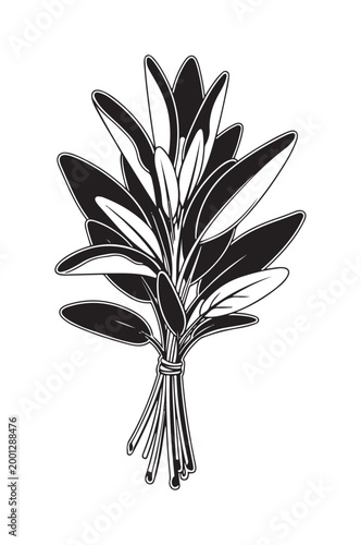 Olive Leaf Bundle with Branch Sprig Silhouette.