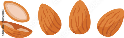 Almond icon set, detailed vector illustration of natural almond nuts isolated on white background, healthy snack and organic ingredient symbols, minimalist food design elements for product packaging, 