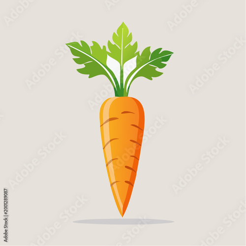 Stylized Carrot Illustration