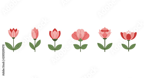 Stylized floral arrangement blossoming flowers and green stems against white background
