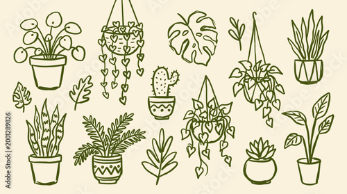 Hand drawn illustration of various potted houseplants and hanging plants in a charming doodle style on a light background