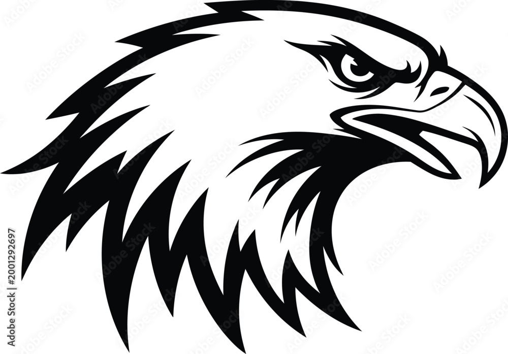 Fototapeta premium Close up of a strong eagle head in profile view powerful bird