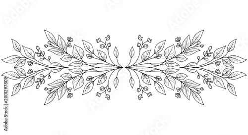 Fotografía Elegant Floral Divider, Botanical Branch Design, Vintage Leaf Border, Line Art