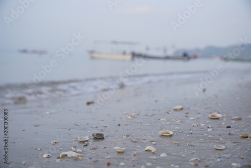 Sandy beach with shells and small stones texture