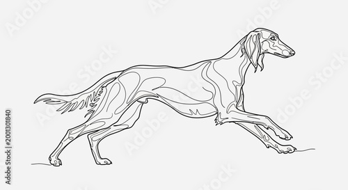 Canvas Print Elegant Saluki Dog Silhouette Running, Line Art Drawing, Graceful Canine Athlete