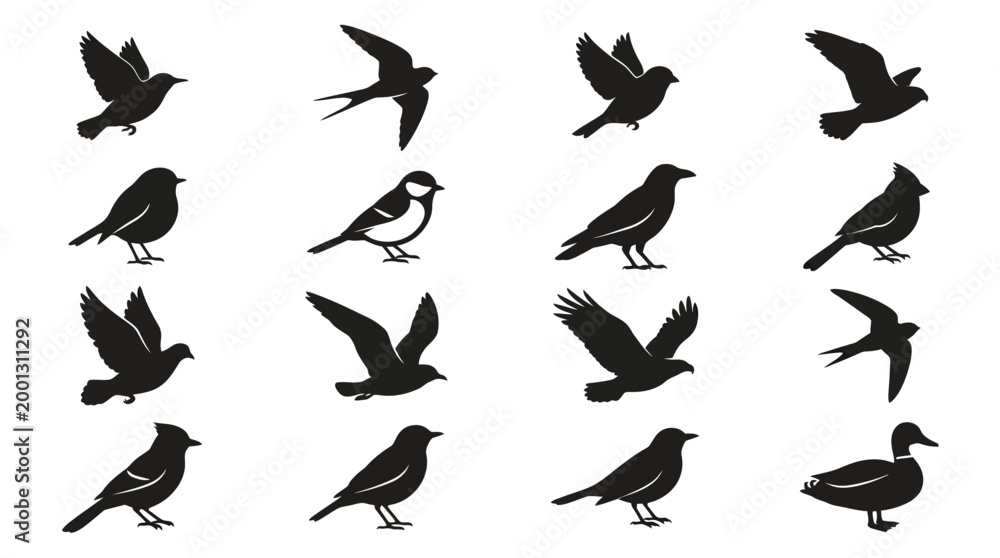 Fototapeta premium Collection of Various Bird Silhouettes.