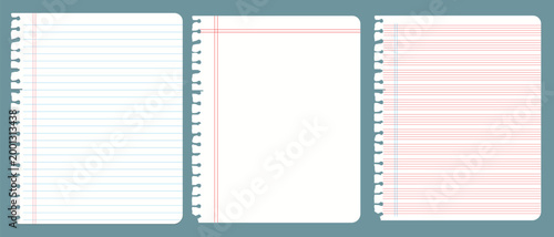 set of Realistic workbook torn paper sheets. Mockup sheets of paper torn from a notebook. Blank gridded notebook. Blank gridded notebook. Vector.